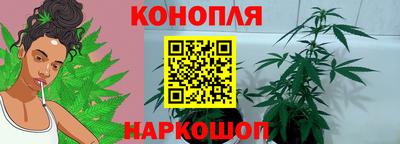 амф Бийск