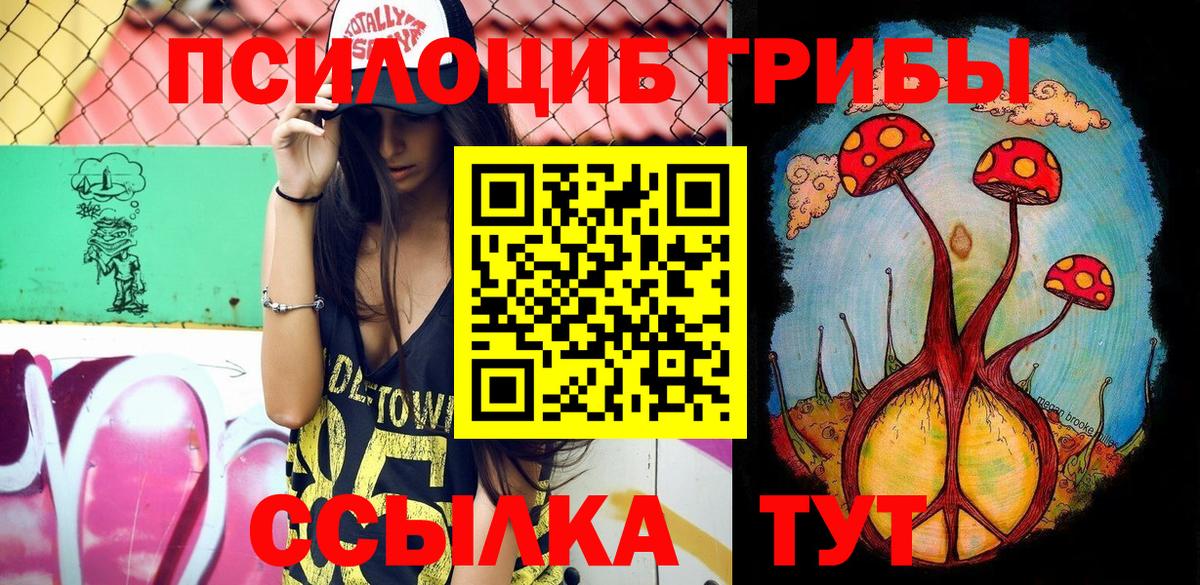 где найти   Вход с VPN  Ишим  Галлюциногенные грибы прущие грибы 